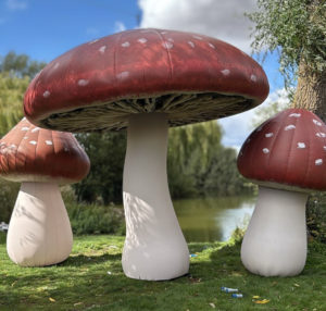 Toadstool Corner at Rum Bridge